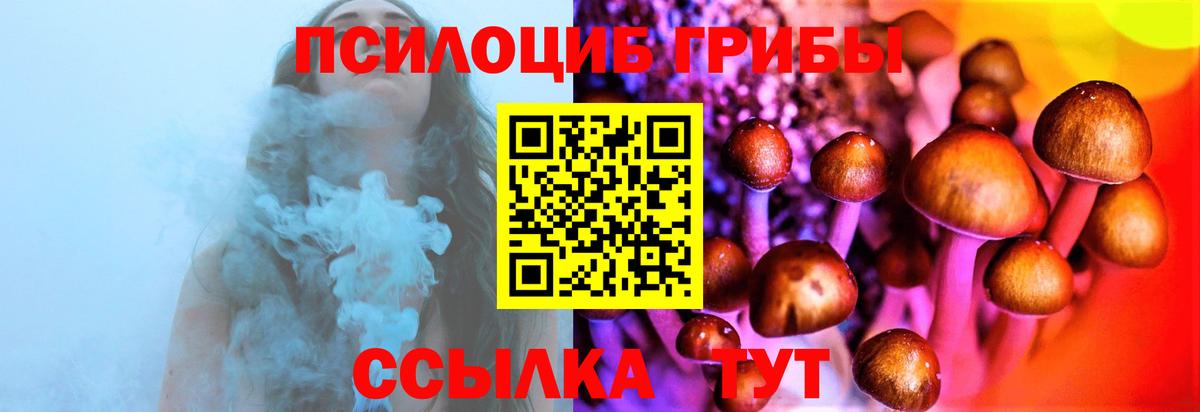 Псилоцибиновые грибы MAGIC MUSHROOMS  Вход с VPN  Саратов 